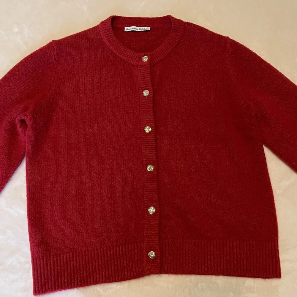 Abercrombie & Fitch Rust Red Cardigan Sweater Large - Picture 4 of 11